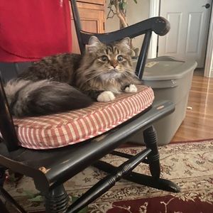 Meet your Posher, Micaela